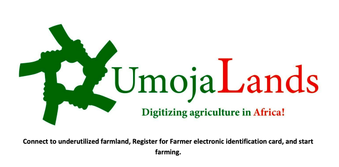 umojalands_digital_project_logo